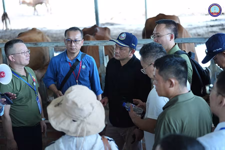 ឯកឧត្តម អ្នកឧកញ៉ា ម៉ម វណ្ណឌី ដឹកនាំគណៈប្រតិភូ សមាគមអតីតយុទ្ធជនខេត្តហ្គ័ងស៊ី និងក្រុមអ្នកវិនិយោគចិនធ្វើទស្សនកិច្ចនៅកសិដ្ឋានក្រុមហ៊ុន ឌីភីម្ចាស់ចម្ការ - Image 15