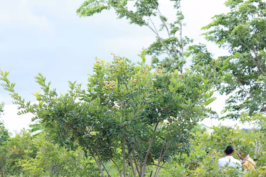 ឯកឧត្តម គន់ គីម៖ ការរៀបចំដីកសិកម្មនឹងកាន់តែលើកស្ទួយជីវភាពអតីតយុទ្ធជន និងនិវត្តជន - Image 17