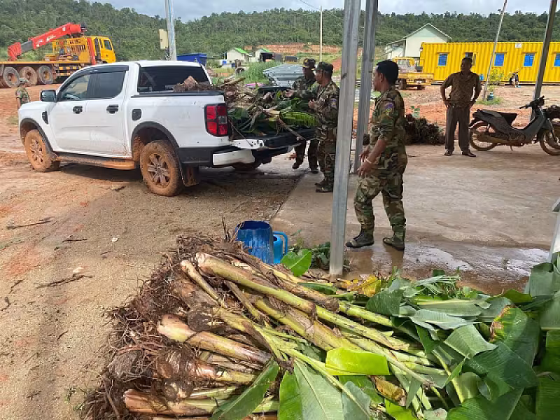 ស.អ.ក ខេត្តព្រះសីហនុ នាំយកពាង និងដើមចេក ចែកជូនបងប្អូនអតីតយុទ្ធជនសម្រាប់ប្រើប្រាស់ និងបង្កបង្កើនផល - Image 10