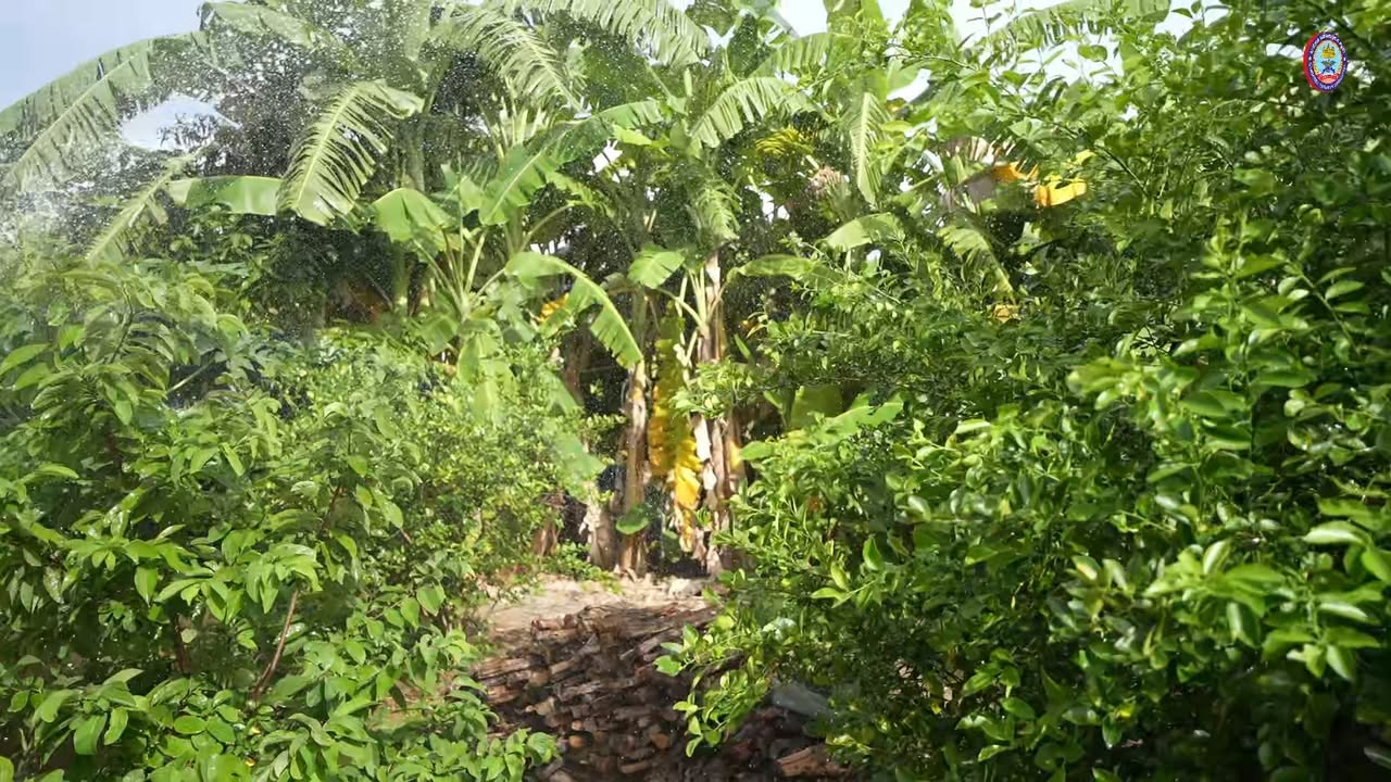  លោក សួន ស៊ីណាត អតីតយុទ្ធជនរស់នៅភូមិប៊ុនរ៉ានីសែនជ័យដំណាក់ទ្រយឹង ថ្លែងអំណរគុណសម្តេចកិត្តិព្រឹទ្ធបណ្ឌិត ប៊ុន រ៉ានី