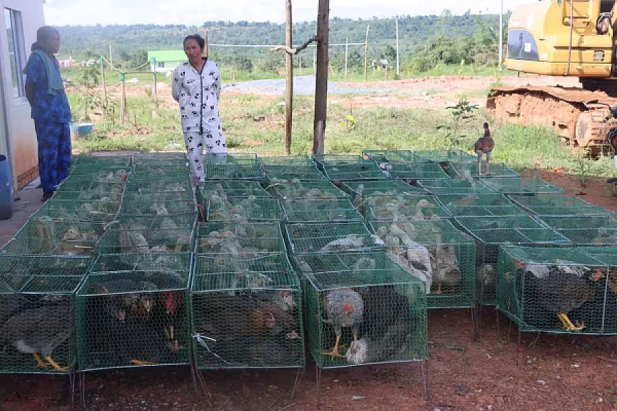 គ្រួសារអតីតយុទ្ធជន ចំនួន ២០គ្រួសារ ក្នុងខេត្តព្រះសីហនុ ទទួលបានអំណោយពីសម្ដេចទាំងទ្វេ - Image 9