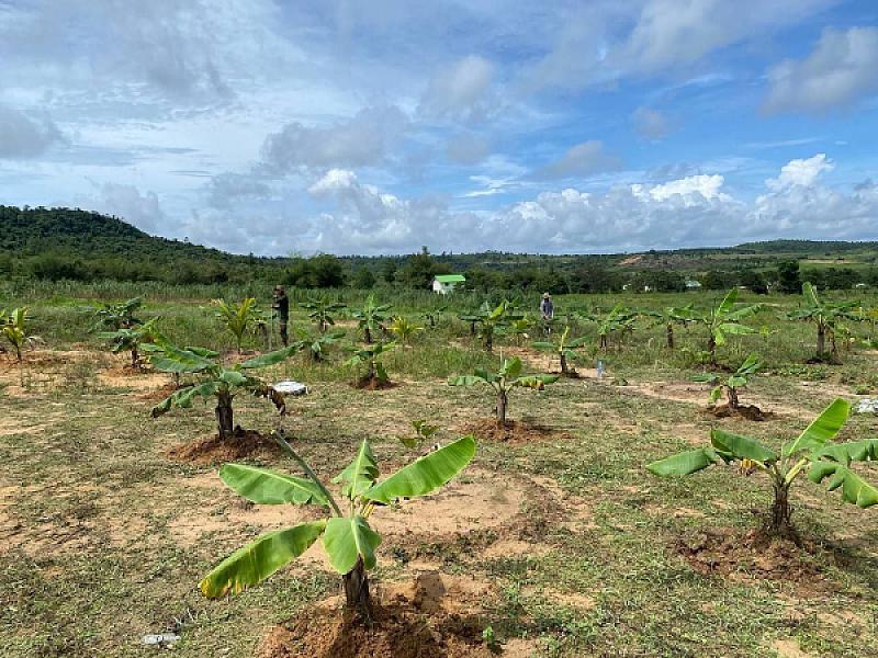 គ្រួសារអតីតយុទ្ធជន ចំនួន ២០គ្រួសារ ក្នុងខេត្តព្រះសីហនុ ទទួលបានអំណោយពីសម្ដេចទាំងទ្វេ - Image 10