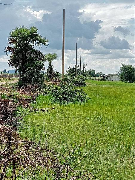 អ.ន.ក ខេត្តបាត់ដំបង រៀបចំដាំបង្គោលភ្លើងអគ្គិសនី និងជីកប្រឡាយទឹក ជូនអតីតយុទ្ធជនសម្រាប់ប្រើប្រាស់ - Image 3