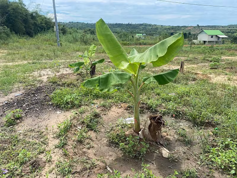 ទីស្នាក់ការ អ.ន.ក ខេត្តព្រះសីហនុ សម្រេចបានលទ្ធផលជាង ៥០ភាគរយហើយ - Image 10
