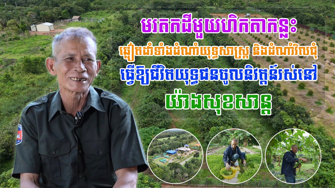 មរតកដីមួយហិកតាកន្លះឆ្លៀតដាំទាំងដំណាំយុទ្ធសាស្រ្ត និងដំណាំវិលជុំ ធ្វើឱ្យជីវិតយុទ្ធជនចូលនិវត្តន៍រស់នៅយ៉ាងសុខសាន្ត