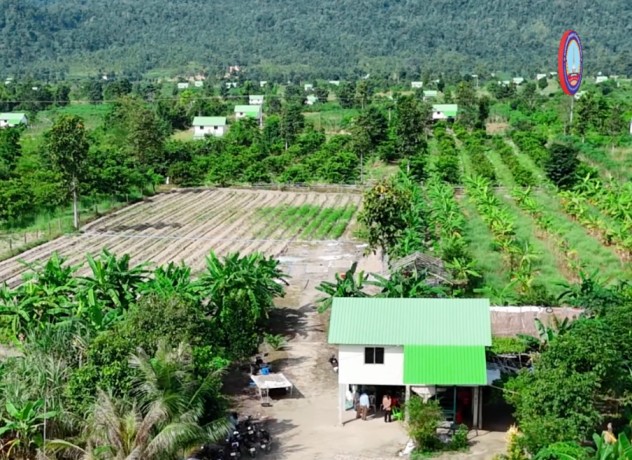 វីដេអូខ្លីៗ