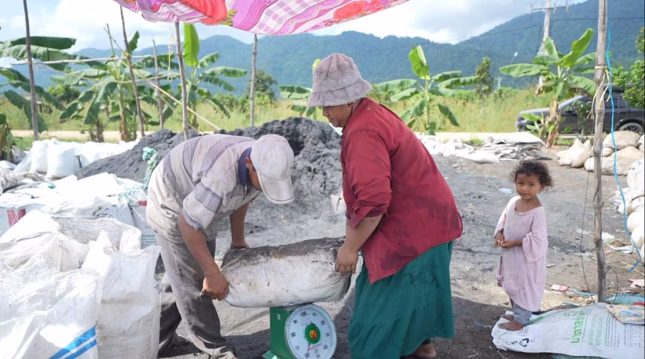 ជីធម្មជាតិតម្លៃជាង២ម៉ឺនដុល្លារត្រៀមសម្រាប់ការដាំម្ទេសជាង ៣០ហិកតា ក្នុងភូមិប៊ុនរ៉ានីសែនជ័យដំណាក់ទ្រយឹង