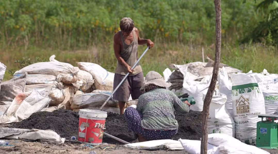ជីធម្មជាតិតម្លៃជាង២ម៉ឺនដុល្លារត្រៀមសម្រាប់ការដាំម្ទេសជាង ៣០ហិកតា ក្នុងភូមិប៊ុនរ៉ានីសែនជ័យដំណាក់ទ្រយឹង - Image 3