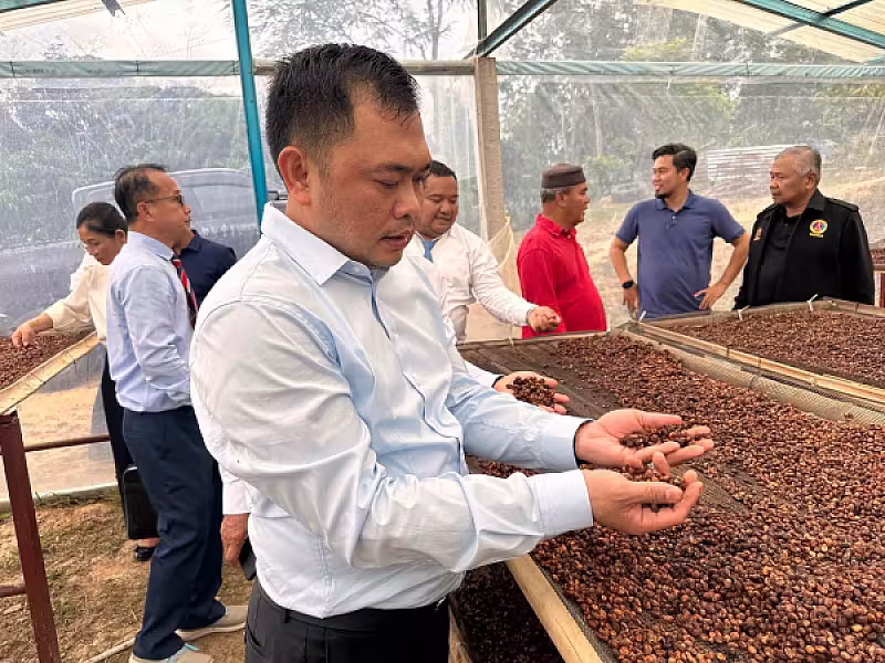 ដំណើរទស្សនកិច្ចរបស់ប្រតិភូសមាគមនៅចំការកាហ្វេដែលដាំដុះដោយអតីតយុទ្ធជនម៉ាឡេសុី - Image 6