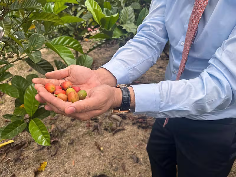 ដំណើរទស្សនកិច្ចរបស់ប្រតិភូសមាគមនៅចំការកាហ្វេដែលដាំដុះដោយអតីតយុទ្ធជនម៉ាឡេសុី - Image 8