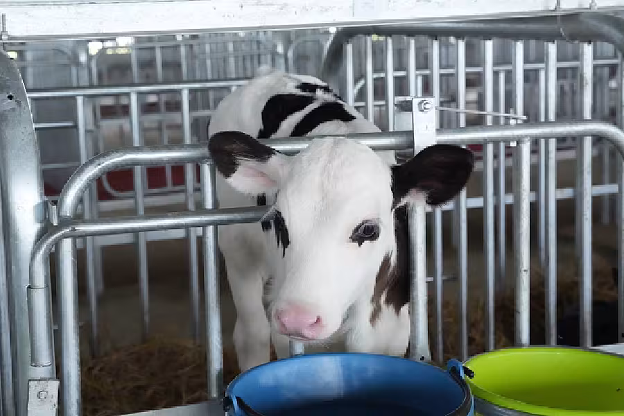 ប្រធានសមាគមអតីតយុទ្ធជនកងកម្លាំងម៉ាឡេសុីអញ្ជើញគណៈប្រតិភូកម្ពុជាទៅទស្សនកិច្ចនៅកសិដ្ឋានចិញ្ចឹមគោទឹកដោះក្នុងតំបន់ JEMALUANG នៃរដ្ឋ JOHOR - Image 19