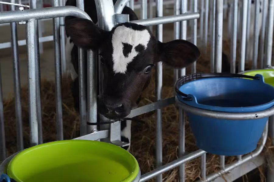 ប្រធានសមាគមអតីតយុទ្ធជនកងកម្លាំងម៉ាឡេសុីអញ្ជើញគណៈប្រតិភូកម្ពុជាទៅទស្សនកិច្ចនៅកសិដ្ឋានចិញ្ចឹមគោទឹកដោះក្នុងតំបន់ JEMALUANG នៃរដ្ឋ JOHOR - Image 24