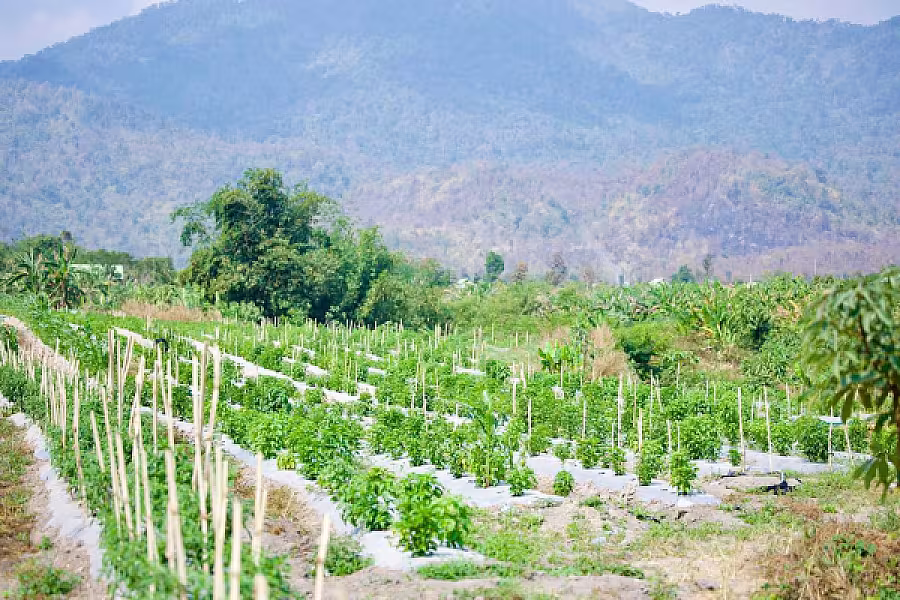 ឯកឧត្តម ទេសរដ្ឋមន្រ្តី គន់ គីម អញ្ជើញចុះពិនិត្យស្ថានភាពរស់នៅអតីតយុទ្ធជន និងអណ្តូងទឹក នៅភូមិប៊ុនរ៉ានីសែនជ័យដំណាក់ទ្រយឹង - Image 16