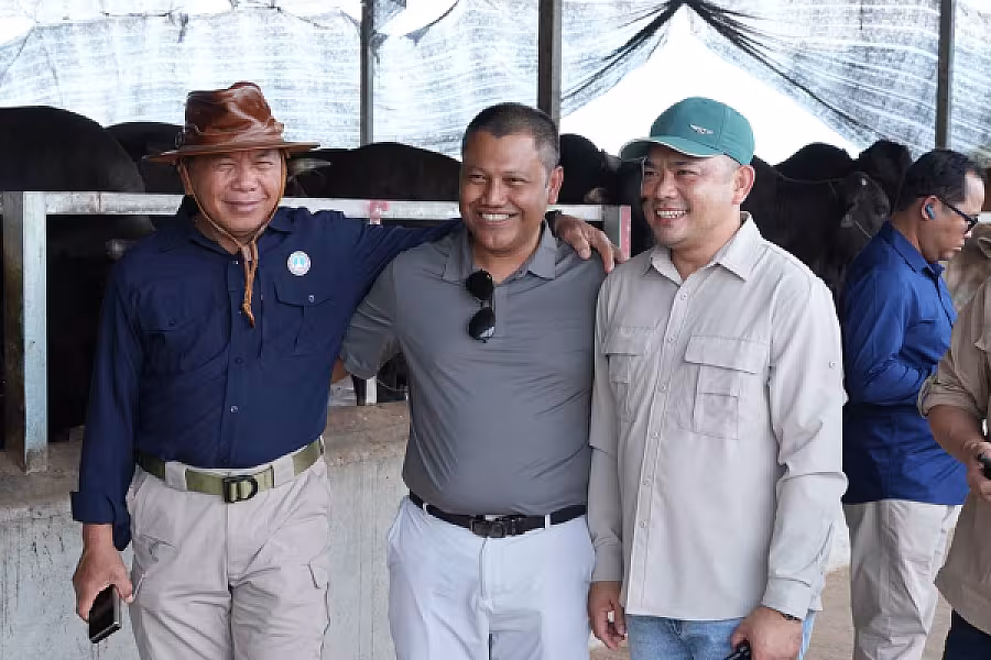 ប្រធានសមាគមអតីតយុទ្ធជនកងកម្លាំងម៉ាឡេស៊ី និងប្រតិភូវិនិយោគម៉ាឡេស៊ី ចុះពិនិត្យ និងសិក្សាសក្តានុពល កសិដ្ឋានចិញ្ចឹមគោឌីភី - Image 4