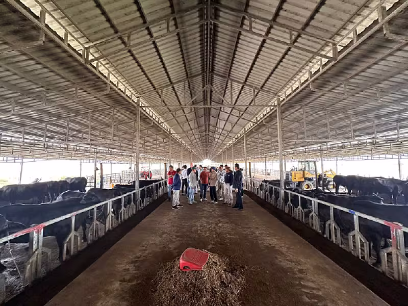 ប្រធានសមាគមអតីតយុទ្ធជនកងកម្លាំងម៉ាឡេស៊ី និងប្រតិភូវិនិយោគម៉ាឡេស៊ី ចុះពិនិត្យ និងសិក្សាសក្តានុពល កសិដ្ឋានចិញ្ចឹមគោឌីភី - Image 15