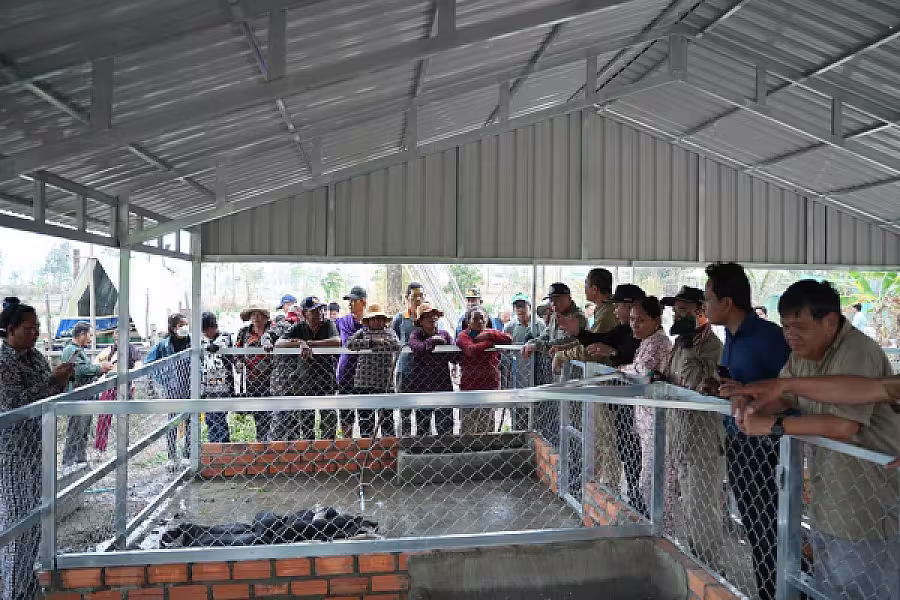 ឯកឧត្តមបណ្ឌិត កៅ ថាច និងឯកឧត្តមអ្នកឧកញ៉ា ម៉ម វណ្ណឌី អញ្ជើញចុះពិនិត្យវឌ្ឍនភាពគម្រោងចិញ្ចឹមជ្រូកកណ្តុរ - Image 9