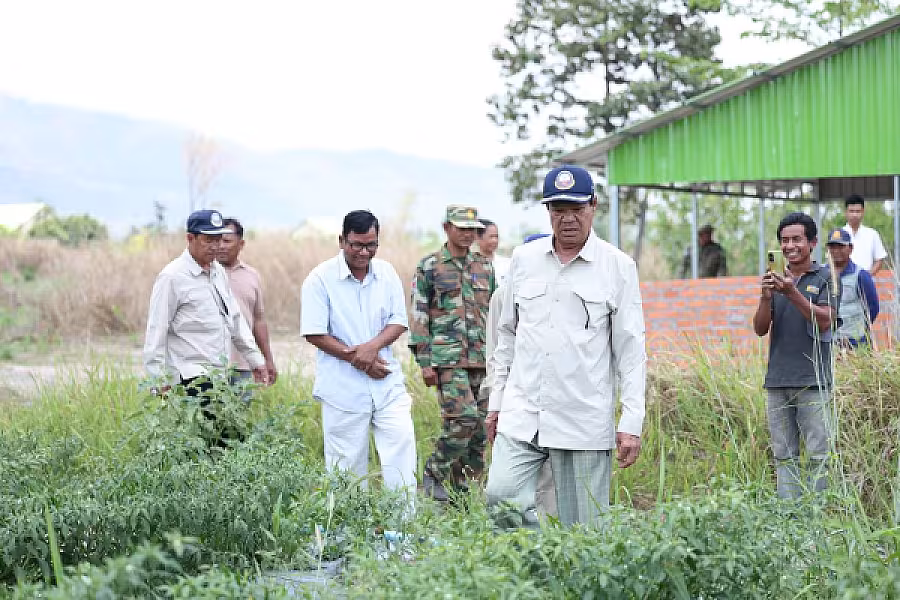 ឯកឧត្តម គន់ គីម ចុះពិនិត្យពីការដាំដុះដំណាំម្ទេស និងការចិញ្ចឹមជ្រូករបស់អតីតយុទ្ធជន និងនិវត្តជន នៅខេត្តពោធិ៍សាត់ - Image 4