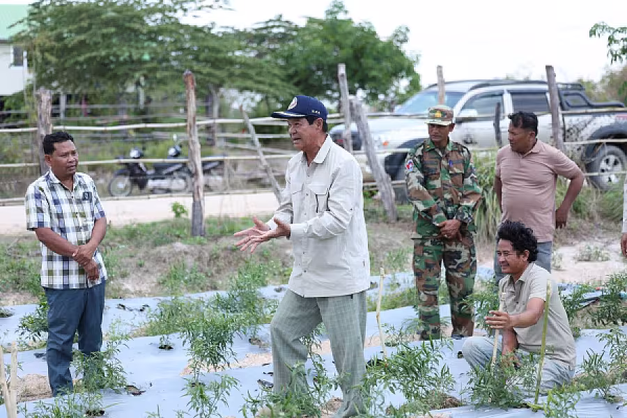 ឯកឧត្តម គន់ គីម ចុះពិនិត្យពីការដាំដុះដំណាំម្ទេស និងការចិញ្ចឹមជ្រូករបស់អតីតយុទ្ធជន និងនិវត្តជន នៅខេត្តពោធិ៍សាត់ - Image 5