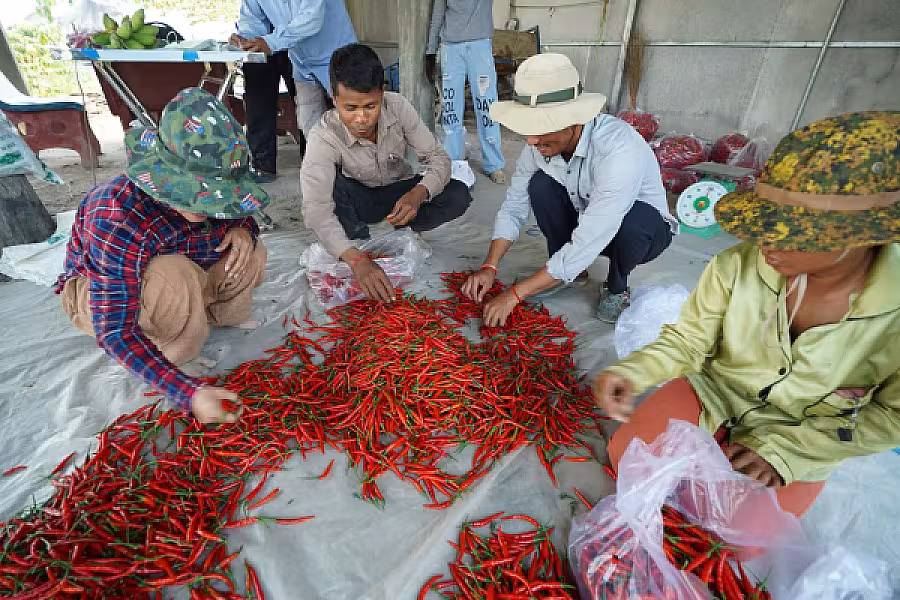 ឯកឧត្តម អ្នកឧកញ៉ា ម៉ម វណ្ណឌី ចុះពិនិត្យវឌ្ឍនភាពភូមិប៊ុនរ៉ានីសែនជ័យដំណាក់ទ្រយឹង - Image 4