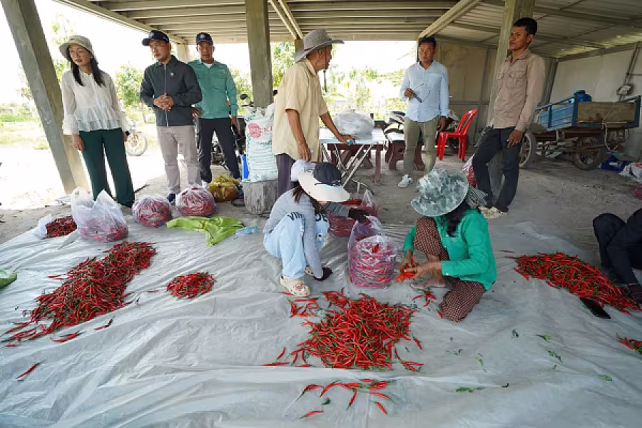 ឯកឧត្តម អ្នកឧកញ៉ា ម៉ម វណ្ណឌី ចុះពិនិត្យវឌ្ឍនភាពភូមិប៊ុនរ៉ានីសែនជ័យដំណាក់ទ្រយឹង - Image 5