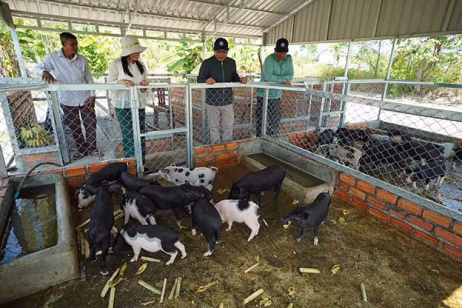 ឯកឧត្តម អ្នកឧកញ៉ា ម៉ម វណ្ណឌី ចុះពិនិត្យវឌ្ឍនភាពភូមិប៊ុនរ៉ានីសែនជ័យដំណាក់ទ្រយឹង - Image 7