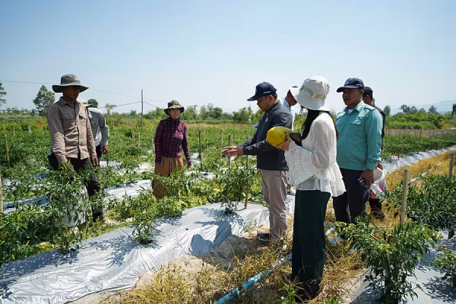 ឯកឧត្តម អ្នកឧកញ៉ា ម៉ម វណ្ណឌី ចុះពិនិត្យវឌ្ឍនភាពភូមិប៊ុនរ៉ានីសែនជ័យដំណាក់ទ្រយឹង - Image 8