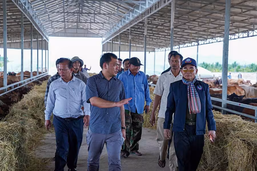 ឯកឧត្តម អ្នកឧកញ៉ា ម៉ម វណ្ណឌី៖ សមាគមនឹងបន្តលើកកម្ពស់ជីវភាពអតីតយុទ្ធជន និងនិវត្តជន តាមរយៈរបរកសិកម្មចិញ្ចឹមគោ - Image 4