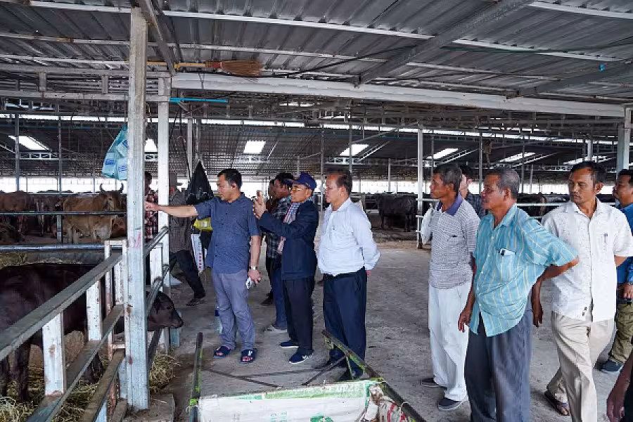 ឯកឧត្តម អ្នកឧកញ៉ា ម៉ម វណ្ណឌី៖ សមាគមនឹងបន្តលើកកម្ពស់ជីវភាពអតីតយុទ្ធជន និងនិវត្តជន តាមរយៈរបរកសិកម្មចិញ្ចឹមគោ - Image 5
