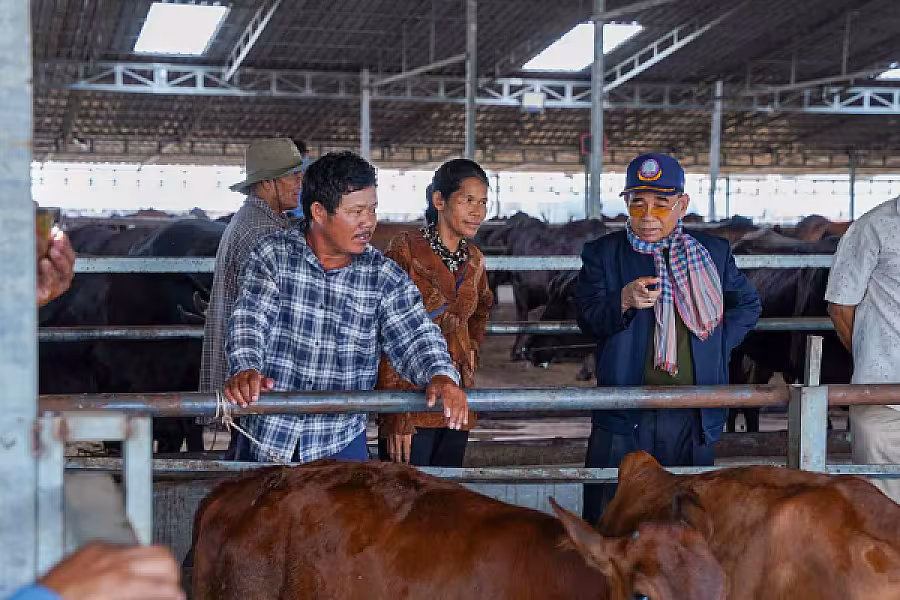 ឯកឧត្តម អ្នកឧកញ៉ា ម៉ម វណ្ណឌី៖ សមាគមនឹងបន្តលើកកម្ពស់ជីវភាពអតីតយុទ្ធជន និងនិវត្តជន តាមរយៈរបរកសិកម្មចិញ្ចឹមគោ - Image 6