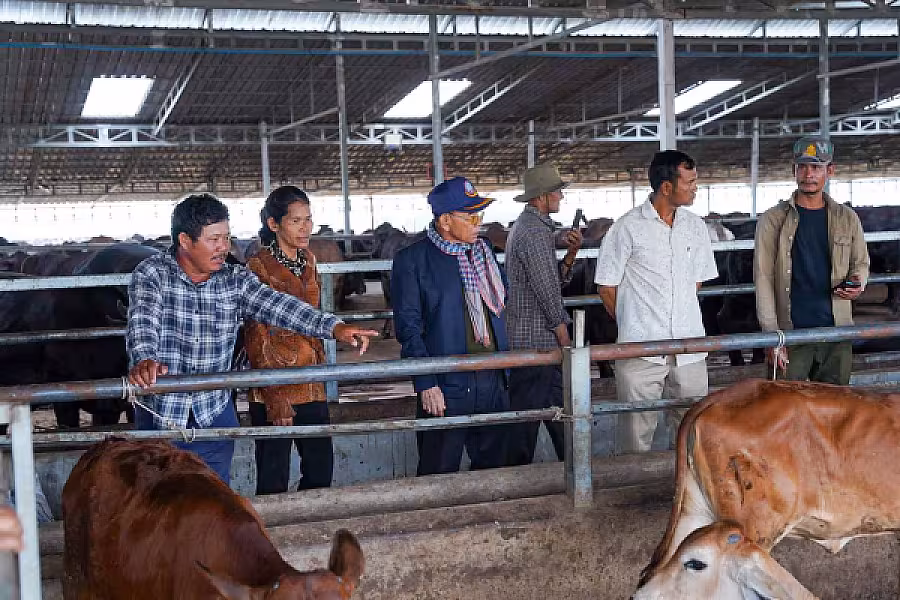 ឯកឧត្តម អ្នកឧកញ៉ា ម៉ម វណ្ណឌី៖ សមាគមនឹងបន្តលើកកម្ពស់ជីវភាពអតីតយុទ្ធជន និងនិវត្តជន តាមរយៈរបរកសិកម្មចិញ្ចឹមគោ - Image 7