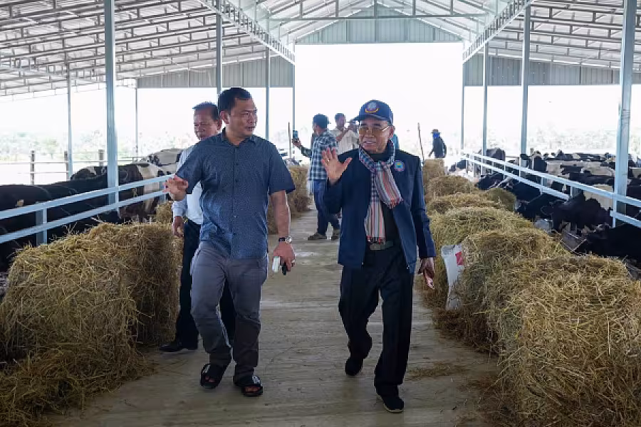 ឯកឧត្តម អ្នកឧកញ៉ា ម៉ម វណ្ណឌី៖ សមាគមនឹងបន្តលើកកម្ពស់ជីវភាពអតីតយុទ្ធជន និងនិវត្តជន តាមរយៈរបរកសិកម្មចិញ្ចឹមគោ - Image 12