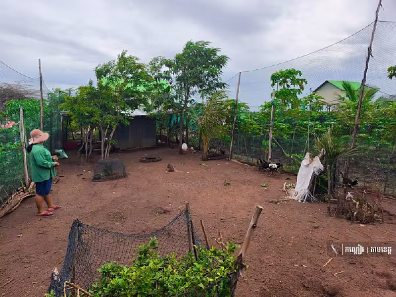 ភូមិអតីតយុទ្ធជន ភូមិគោករកា ឃុំដូនបា ស្រុកគាស់ក្រឡ ខេត្តបាត់ដំបង - Image 4