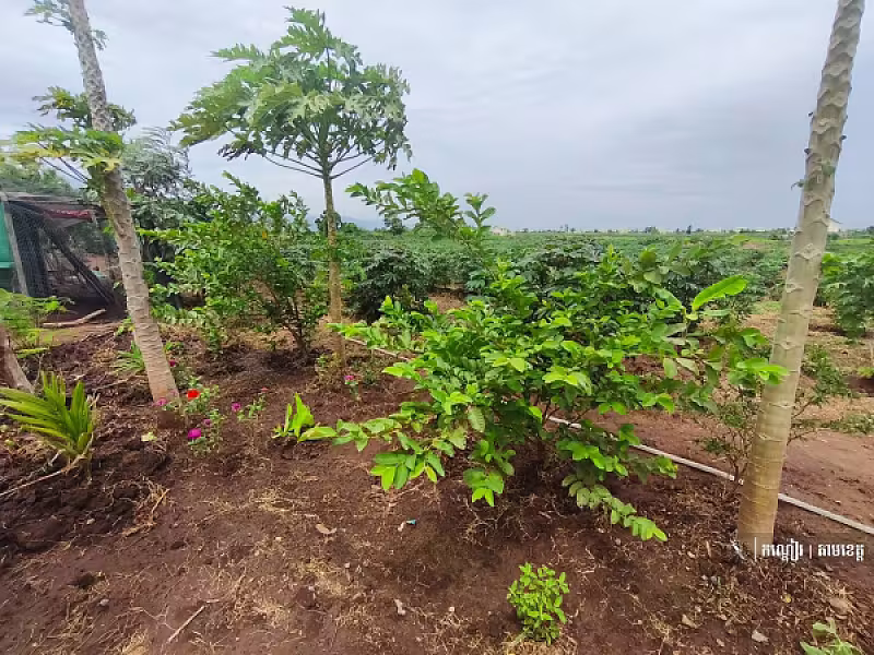 ភូមិអតីតយុទ្ធជន ភូមិគោករកា ឃុំដូនបា ស្រុកគាស់ក្រឡ ខេត្តបាត់ដំបង - Image 7