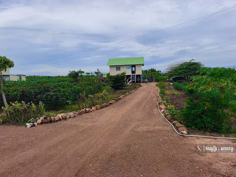 ភូមិអតីតយុទ្ធជន ភូមិគោករកា ឃុំដូនបា ស្រុកគាស់ក្រឡ ខេត្តបាត់ដំបង - Image 10